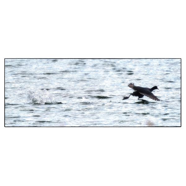 PHOTO84, CLUB, 84 , LUBERON